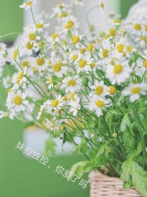 妹控家族