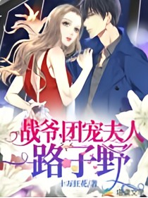 战爷团宠夫人路子有点野
