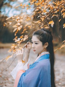 惊鸿梦