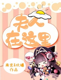 夫人在这里