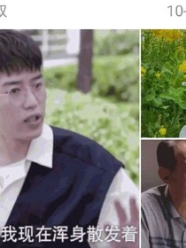 成年人