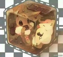 伊布全集
