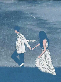 總載追妻記
