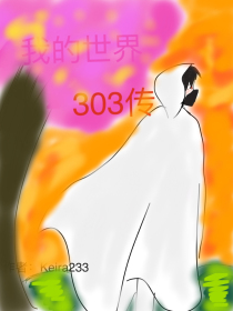 我的世界303传