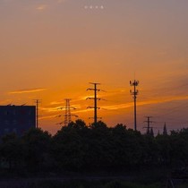 一遇你便倾心