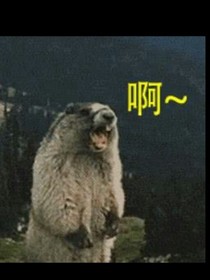 夢(mèng)境奇遇記