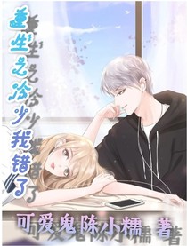 重生之冷少我错了