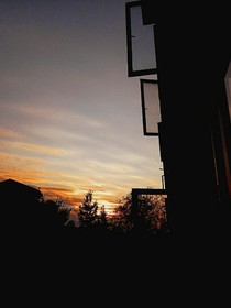 （小短文）并蒂莲