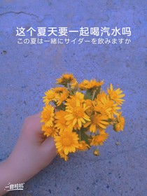 迎风唿我