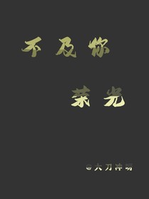 不及你荣光