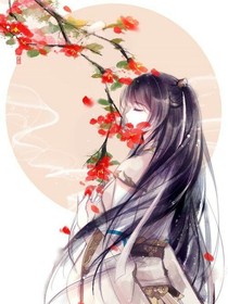 穿越之这个少女她挂太多了