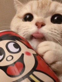 涼生日常
