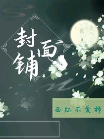西红不是柿封面铺