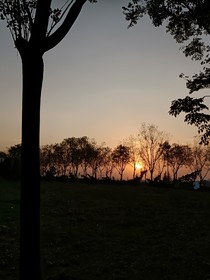 撕扯