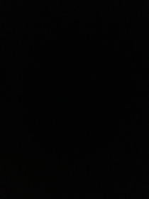 日记……