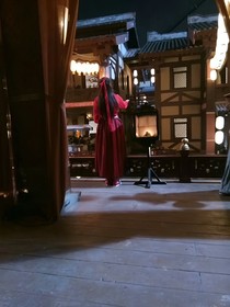 奈何情缘无情果