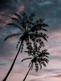 末日的電話