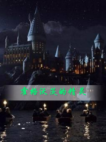 hp之霍格沃茨的精灵