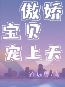 傲娇宝贝宠上天