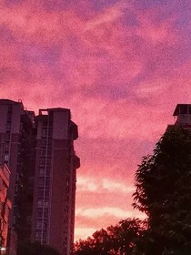 天是那么美，知知也是