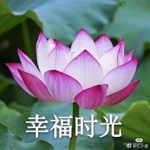 穿進(jìn)影帝心里