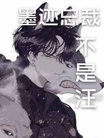 墨迹总裁不是汪