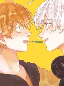 风信子零恋