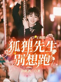 王俊凱：狐貍先生別想跑