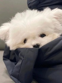 过眼云烟呀