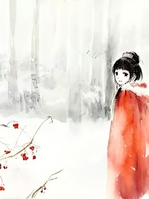 菜鸟帮主