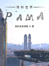 我的世界PAMA