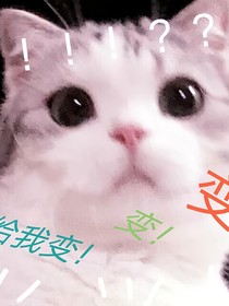 一只经常变来变去的猫