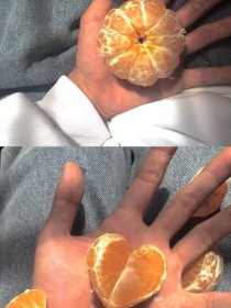 橙子句子铺
