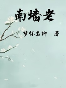 南墙老