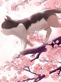 晨風(fēng)醉