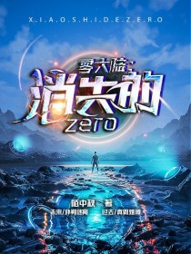 零大陆：消失的Zero