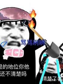 入眼皆肆意