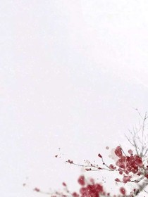 折枝记