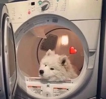 重生女王：墨少你夫人馬甲掉了