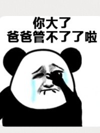 牛逼转