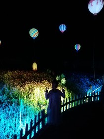 幸運(yùn)的一天