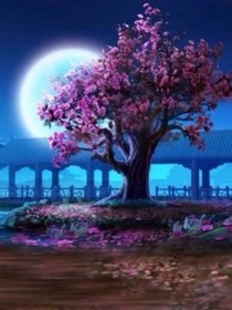 三生三世枕上书之梦境