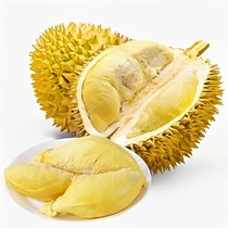 重生豪宅男