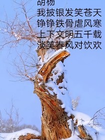 天路扶摇