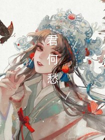君何愁
