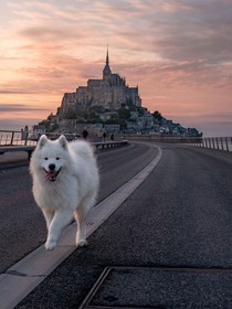 慢慢生活