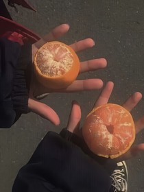 校草的甜宠