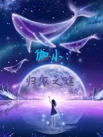 開心超人聯(lián)盟之歸家之途