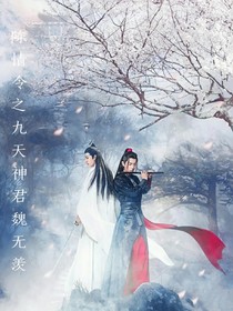陳情令之九天神君魏嬰魏無羨