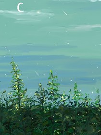 灌木叢